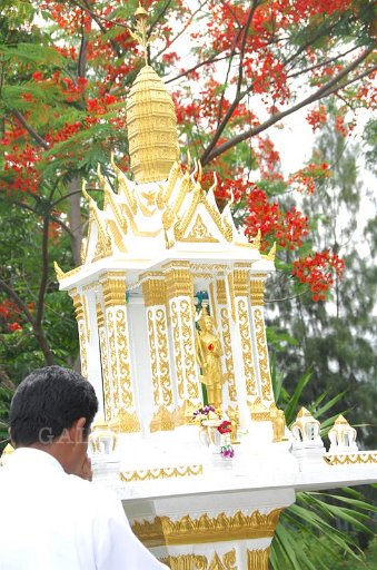 DSC_0118 Copy.JPG